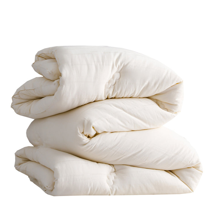 Single Double Spring And Autumn Quilt Antibacterial Quilt Core Cotton Winter