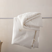 Single Double Spring And Autumn Quilt Antibacterial Quilt Core Cotton Winter