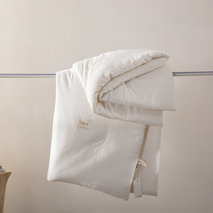 Single Double Spring And Autumn Quilt Antibacterial Quilt Core Cotton Winter