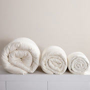 Single Double Spring And Autumn Quilt Antibacterial Quilt Core Cotton Winter