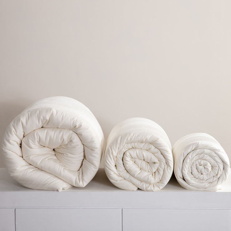 Single Double Spring And Autumn Quilt Antibacterial Quilt Core Cotton Winter